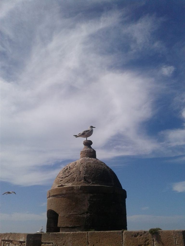 Excursion à Essaouira, vacances au Maroc 