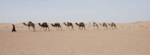 Trek au Maroc, votre voyage, vos vacances